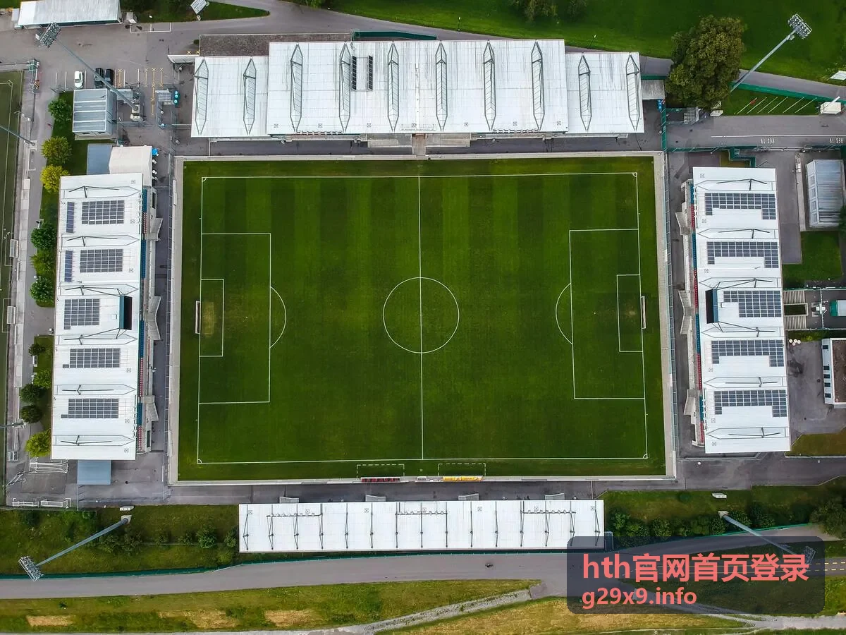 hth官网首页登录物流企业运单系统访问案例